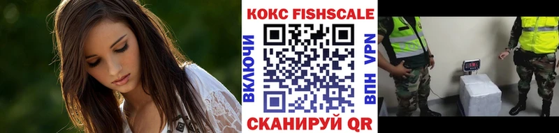Купить закладки  Змеиногорск  Cocaine Эквадор 