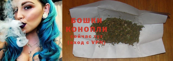 прущие грибы Дмитровск