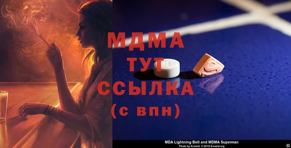 прущие грибы Дмитровск