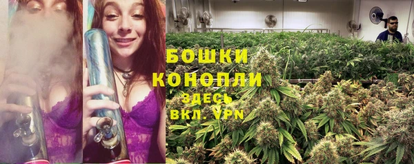 прущие грибы Дмитровск