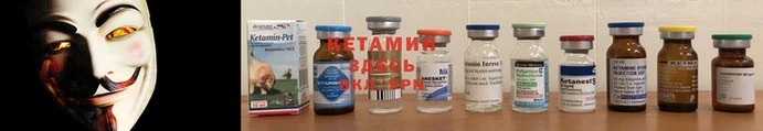 Альфа ПВП Дмитриев