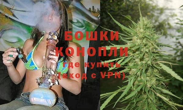спиды Дмитров