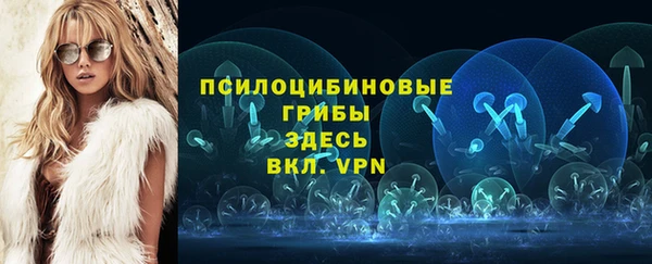 спиды Дмитров