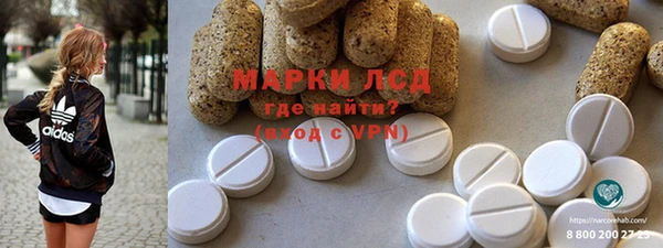 прущие грибы Дмитровск