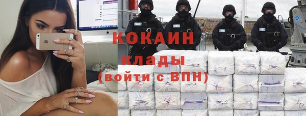 прущие грибы Дмитровск