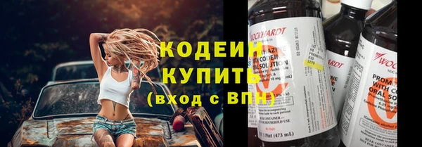 прущие грибы Дмитровск