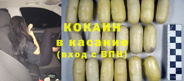 прущие грибы Дмитровск