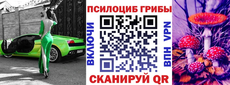 Купить закладки  Змеиногорск  Галлюциногенные грибы Psilocybine cubensis 